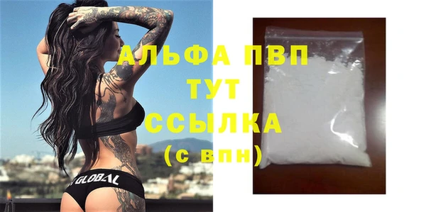 стаф Баксан