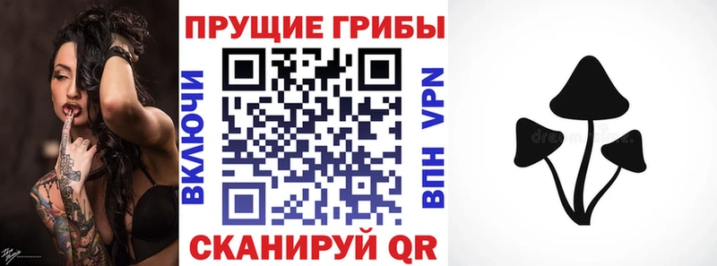 darknet клад  Нововоронеж  Галлюциногенные грибы мухоморы  кракен зеркало 